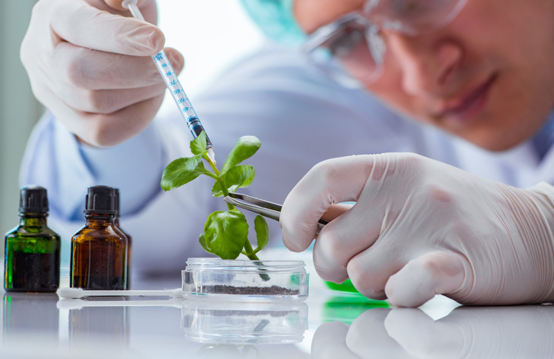 Warum die HEG Warum die HEG